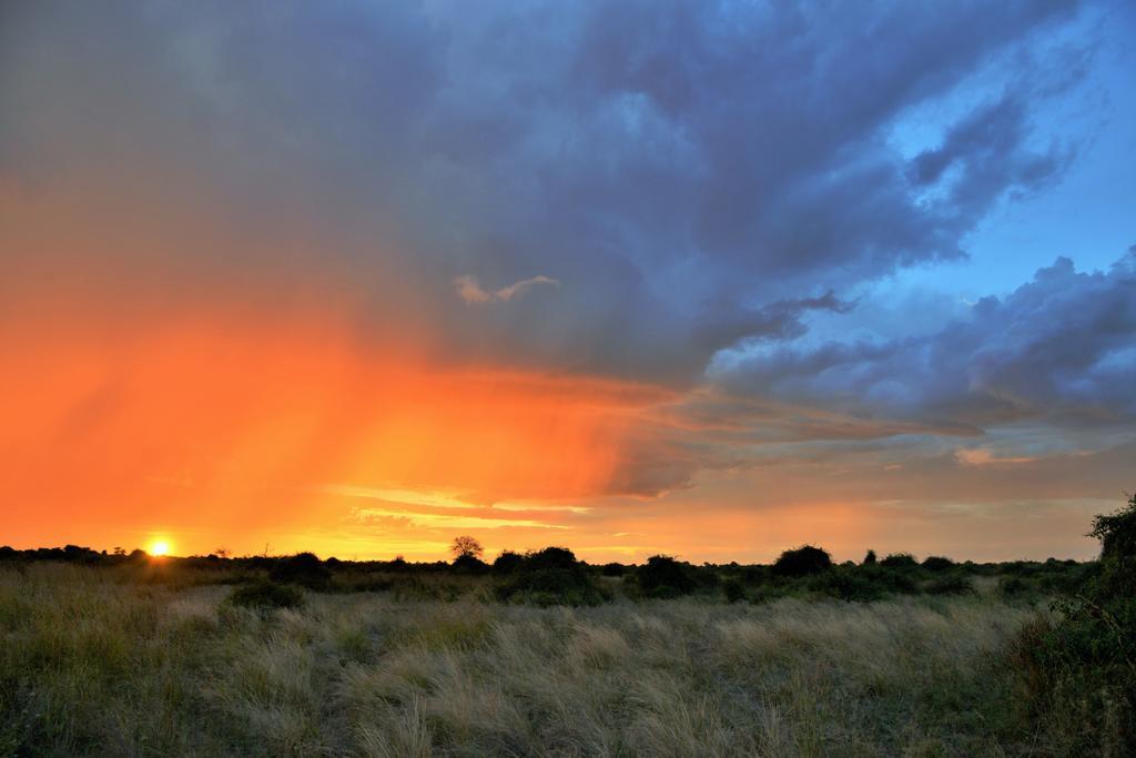 Thebe River Safaris Kasane Eksteriør billede
