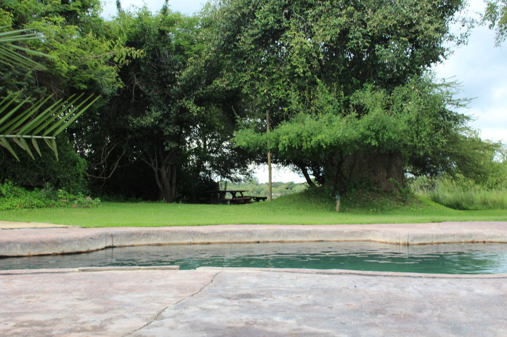 Thebe River Safaris Kasane Eksteriør billede